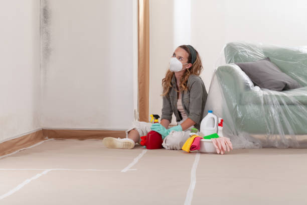 Reliable Crawl Space Mold Remediation contractor in Kearny, NJ by Mold Remediation HQ